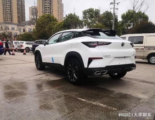 国产汽车迷惑行为案例视频,笑料百出，揭秘日常驾驶奇观