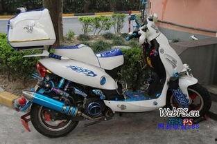 国产绵羊改装视频播放网站,探索羊群变身科技新宠的奇幻之旅