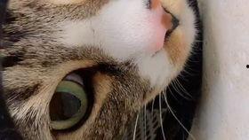 国产有名流出视频,揭秘幕后制作与观众狂热