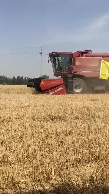 新款国产小麦收割机视频,高效智能，引领农业现代化新篇章