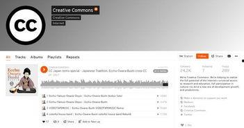 国产高质量视频资源,探索光影艺术的新境界