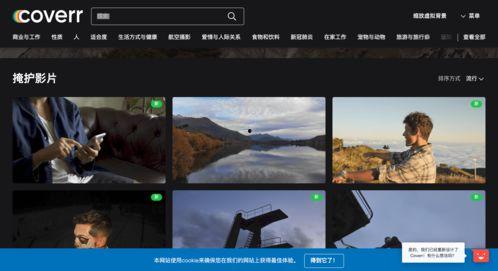 寻找经典国产元素视频